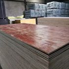 Waterproof Red Film Faced Plywood , Melamine Laminated Plywood 2 Time Hot Press