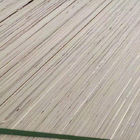 الحور القشرة الخشبية التي تواجه التجارية الصف الخشب الرقائقي مرة واحدة الساخنة الصحافة المواد الأساسية الكاملة